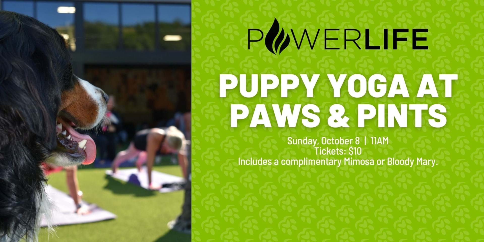 Puppy Yoga with Powerlife